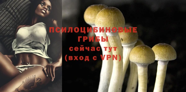 шишки Бронницы
