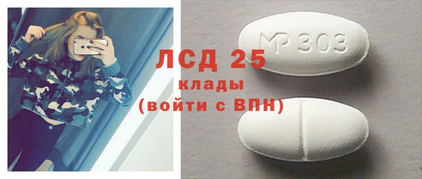 спайс Бородино