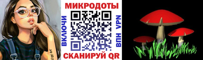 цена Армавир Псилоцибиновые грибы MAGIC MUSHROOMS